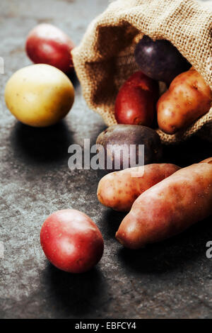 Rohe bunte Kartoffeln in Jute-Tasche Stockfoto