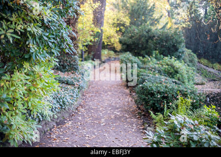 Breslauer botanischen Gärten im Herbst Stockfoto