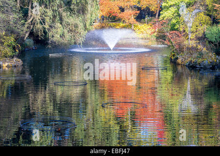 Breslauer botanischen Gärten im Herbst Stockfoto