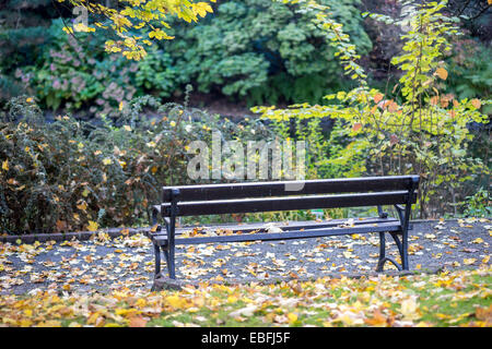 Breslauer botanischen Gärten im Herbst Stockfoto