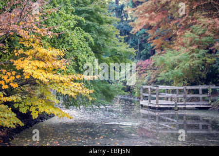 Breslauer botanischen Gärten im Herbst Stockfoto