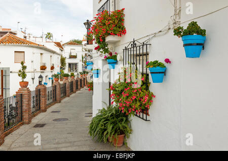 MIJAS PUEBLO SÜDSPANIEN BLAUE TÖPFE MIT ROTEN BEGONIEN BLUMEN AN DEN WÄNDEN DES WEIßEN HAUSES Stockfoto