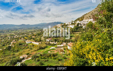 MIJAS PUEBLO SÜDSPANIEN WEIßEN HÄUSER UND EINE BLUME BUSH MIT BERGEN IN DER FERNE Stockfoto