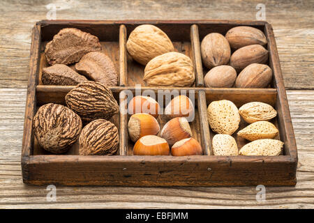 eine Vielzahl von Nüssen (Walnuss, Pekannuss, Haselnuss, Brasilianer und Mandel) + in einer rustikalen Holzkiste Stockfoto