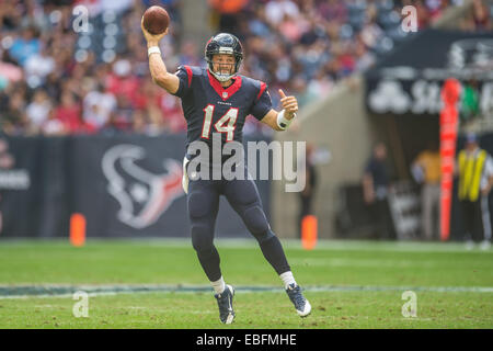 Houston, Texas, USA. 30. November 2014. Houston Texans Quarterback Ryan Fitzpatrick (14) macht einem Pass während der 1. Hälfte der NFL-Spiel zwischen den Houston Texans und die Tennessee Titans im NRG-Stadion in Houston, TX am 30. November 2014. © Trask Smith/ZUMA Draht/Alamy Live-Nachrichten Stockfoto