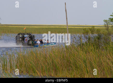 Sawgrass Recreation Park Airboat Touren westlich von Fort Lauderdale auf der Alligator Alley in Süd-Florida. Stockfoto