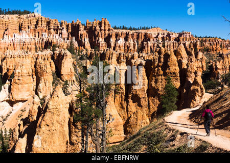 Weibliche Wanderer auf der Peekaboo Loop Trail Hoodoos Bryce Amphitheater im Hintergrund. Bryce-Canyon-Nationalpark, Utah, USA. Stockfoto