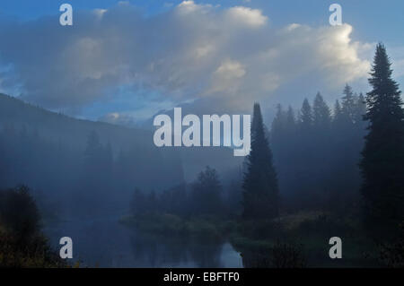 Yaak Fluss und Nebel heben nach einem Regensturm n Fall. Yaak Valley Montana. (Foto von Randy Beacham) Stockfoto