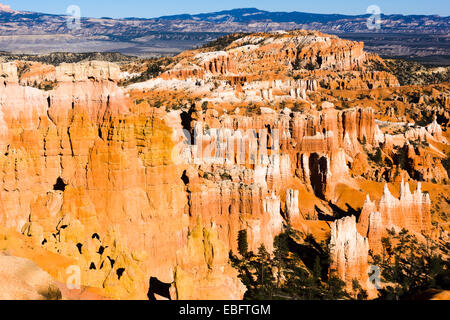 Bryce Amphitheater Hoodoos im Abendlicht. Bryce-Canyon-Nationalpark, Utah, USA. Stockfoto