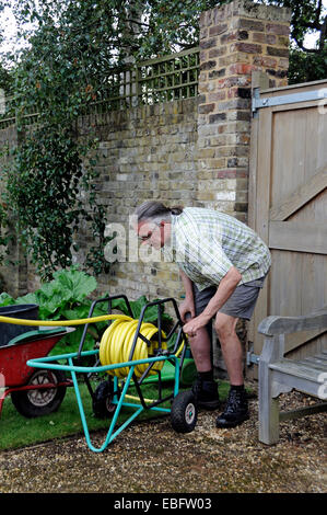 Mann, die verwinkelten Garten Gartenschlauch auf Trolley - Freiwillige in Chiswick House Küchengarten, London Borough of Hounslow Stockfoto