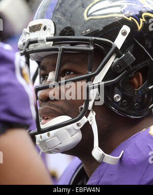 Baltimore, Maryland, USA. 30. November 2014. Baltimore Ravens RB Justin Forsett (29) in einem Spiel gegen die San Diego Chargers im M & T Bank Stadium in Baltimore, MD am 30. November 2014 auf der Seitenlinie abgebildet. Foto: Mike Buscher/Cal Sport Media/Alamy Live-Nachrichten Stockfoto