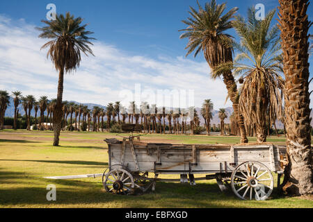 Eine alte den Buckboard Wagen steht in der Nähe der Golf Cource im Death Valley Stockfoto