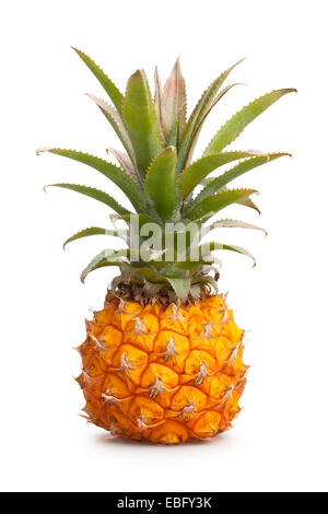 Baby Ananas isoliert Stockfoto