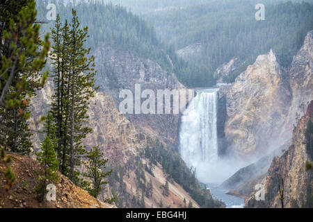 Wasserfall in den Grand Canyon des Yellowstone Nationalpark, WY, USA Stockfoto