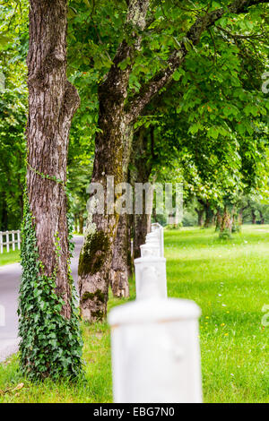 Bäume mit weißen Zaun in der slowenischen Landschaft Stockfoto