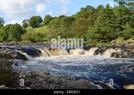 Low Force Wasserfall in Teesdale, UK Stockfoto