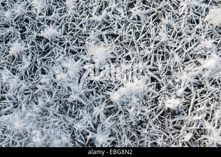 Frost-Kristalle haben auf die schwarze Fläche gebildet. Stockfoto