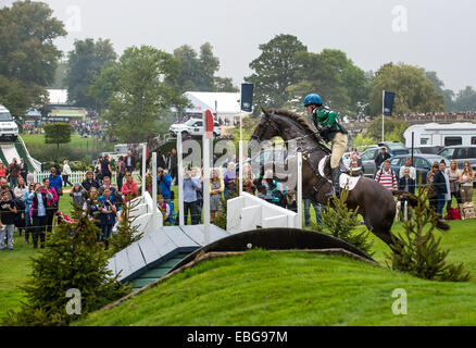 Pferd einen Zaun in Burghley Horse Trials löschen Stockfoto