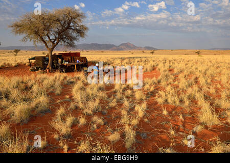 Schafberg Camp entlang Tok Tokkie Trail, Namib Rand Nature Reserve, Namib-Wüste, Namibia Stockfoto