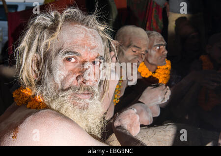 Porträt von einem Shiva Sadhu aus Avahan Akhara, innerhalb einer Gruppe von Kollegen Sadhus, während Kumbha Mela Festival, Allahabad Stockfoto