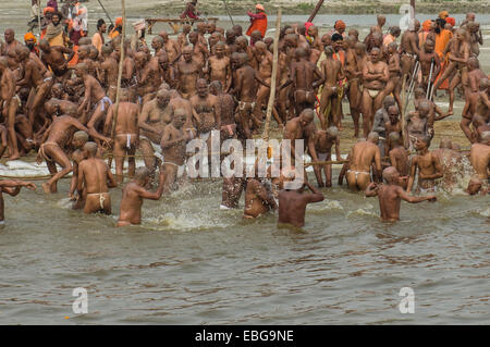 Reinigende Baden im Fluss Ganges als Teil der Einleitung der neuen Sadhus an Sangam, dem Zusammenfluss der Flüsse Stockfoto