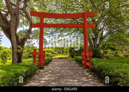 Torii-Eingang des japanischen Gartens an der Jardin Botanico nationalen "Dr. Rafael María Mosoco", nationale botanische Garten, Sant Stockfoto