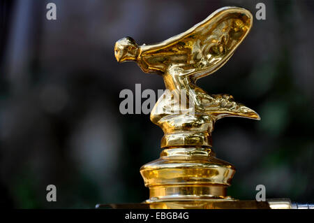 Spirit of Ecstasy, auch genannt Emily, Motorhaube Ornament, vergoldet, auf einem Vintage Rolls-Royce Silver Wraith, gebaut von 1946, Rom Stockfoto