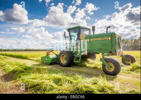 Selbstfahrende Scheibenmäher schneiden ein Feld von Heu (Rasen). Stockfoto