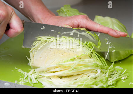 Hacken einen Kopf Kohl (Brassica Oleracea) Stockfoto
