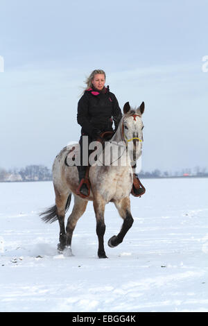 Frau reitet Mischling Stockfoto