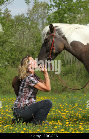 Frau und Pintaloosa Stockfoto