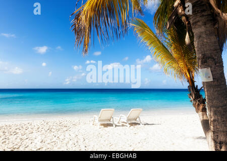 Zwei weiße Liegestühle und Palme am tropischen Strand, Curacao Stockfoto