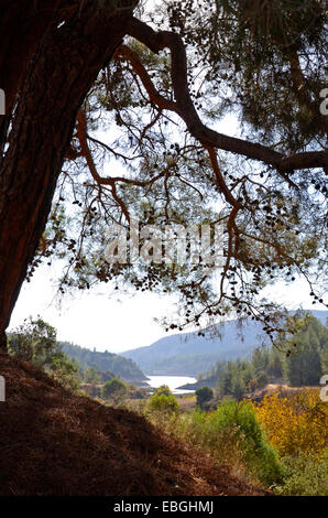 Ein Blick von der Kelefos-Brücke auf der Arminou-Stausee im Troodos-Nationalpark Stockfoto