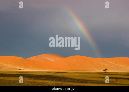 Regenbogen über eine Düne, Namibia, Namib Naukluft NP Stockfoto