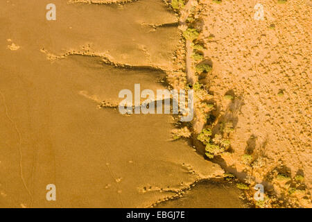 Wadi des Tsauchab River, Namibia, Namib Naukluft NP Stockfoto