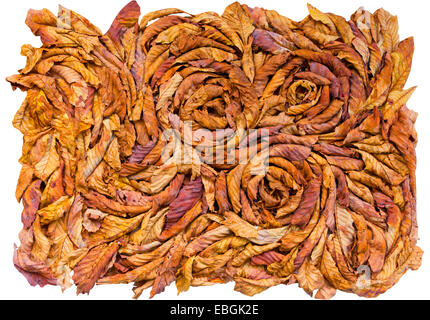 Bunter Herbst Blatt künstlerische Komposition Stockfoto