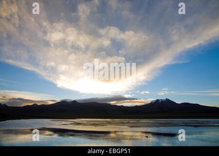 Abendstimmung an der Laguna Huaynacota im Sajama Nationalpark, Bolivien Stockfoto