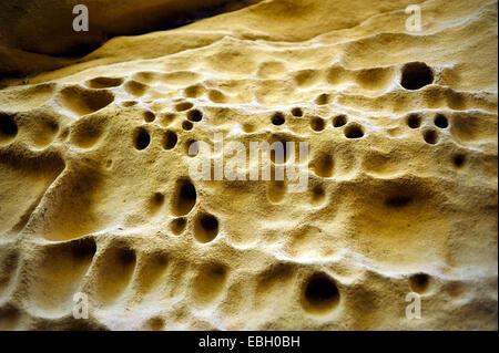 verwitterte Felsen, Tafoni, Frankreich, Provence, Cales, Lamanon Salon de Provence Stockfoto
