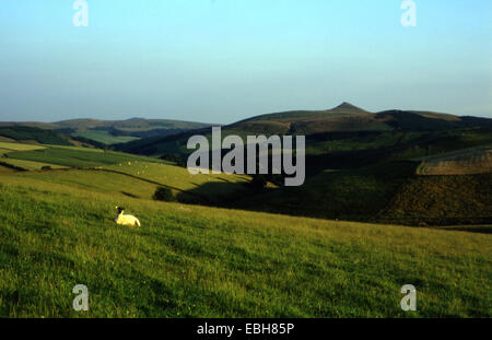 Ansicht des Shutlingsloe aus Norden, auf Cheshire Cycleway, Cheshire, UK. Stockfoto