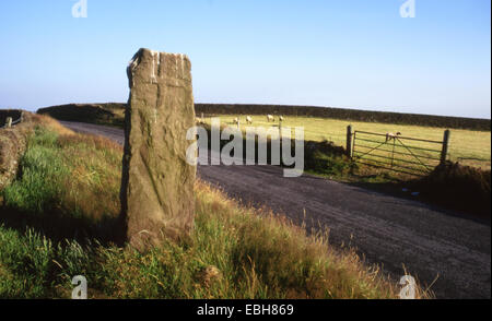 Überqueren Sie o-Moor, auf Cheshire Cycleway, nr Sutton Lane enden, Macclesfield, Cheshire, UK Stockfoto