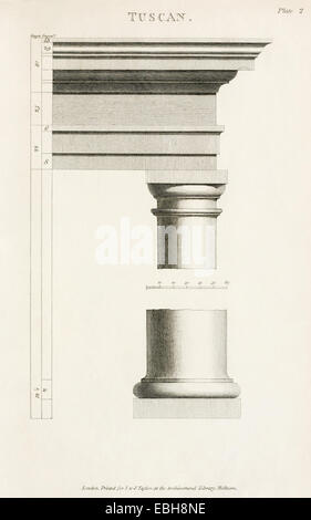 Toskanischen Sortierspalte aus "Die Grundlagen der antiken Architektur". Siehe Beschreibung für mehr Informationen. Stockfoto