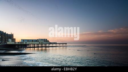 Genießen Sie das Schauspiel einer Wolke aus Stare Murmurating über die Pier in Aberystwyth Schwimmer Stockfoto