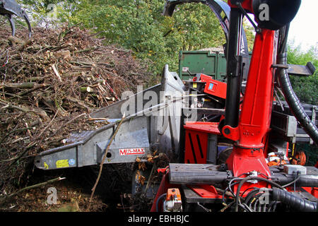 Holz Schredder, Deutschland Stockfoto