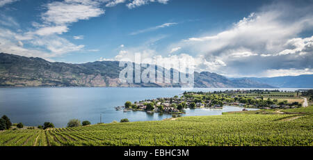 Wachteln Gate Winery, Kelowna, Okanagan Lake, British Columbia, Kanada, Nordamerika. Stockfoto