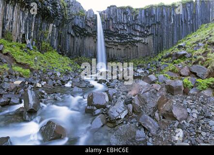 Wasserfall Svartifoss, Island, Austurland, Skaftafell Stockfoto