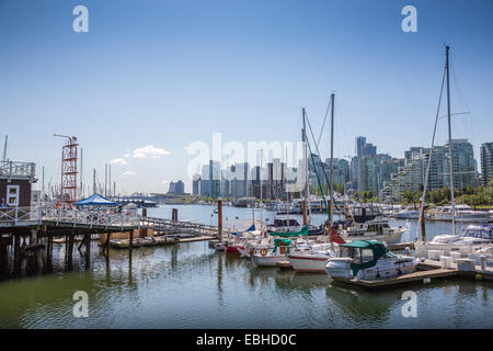 Coal Harbour, Stanley Park, Vancouver, Britisch-Kolumbien, Kanada, Nordamerika. Stockfoto