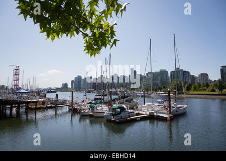 Coal Harbour, Stanley Park, Vancouver, Britisch-Kolumbien, Kanada, Nordamerika. Stockfoto