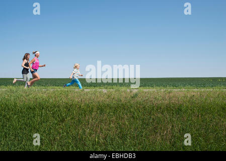 Drei Leute, die durch Feld Stockfoto