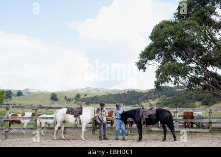 Pferd Reiten, Pakiri Beach, Auckland, Neuseeland Stockfoto