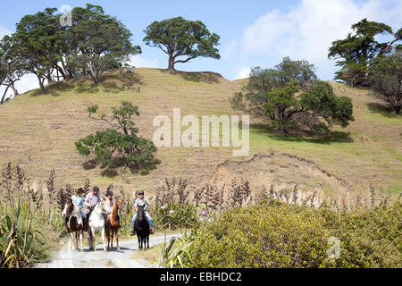 Pferd Reiten, Pakiri Beach, Auckland, Neuseeland Stockfoto